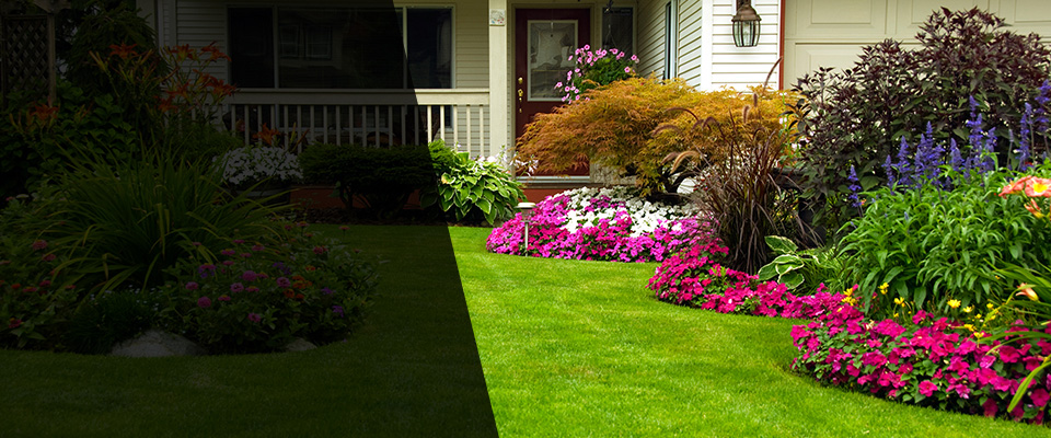 Bruce Landscapers
